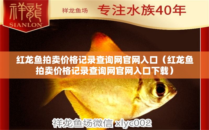 紅龍魚(yú)拍賣(mài)價(jià)格記錄查詢網(wǎng)官網(wǎng)入口（紅龍魚(yú)拍賣(mài)價(jià)格記錄查詢網(wǎng)官網(wǎng)入口下載）