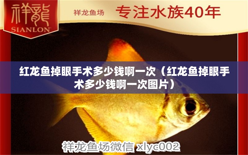 紅龍魚掉眼手術(shù)多少錢啊一次（紅龍魚掉眼手術(shù)多少錢啊一次圖片）