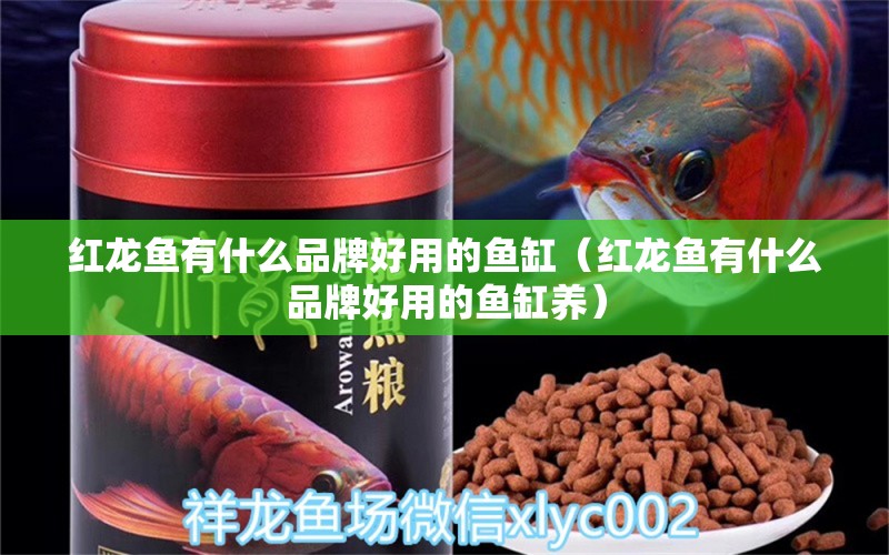 紅龍魚有什么品牌好用的魚缸（紅龍魚有什么品牌好用的魚缸養(yǎng)） 印尼紅龍魚