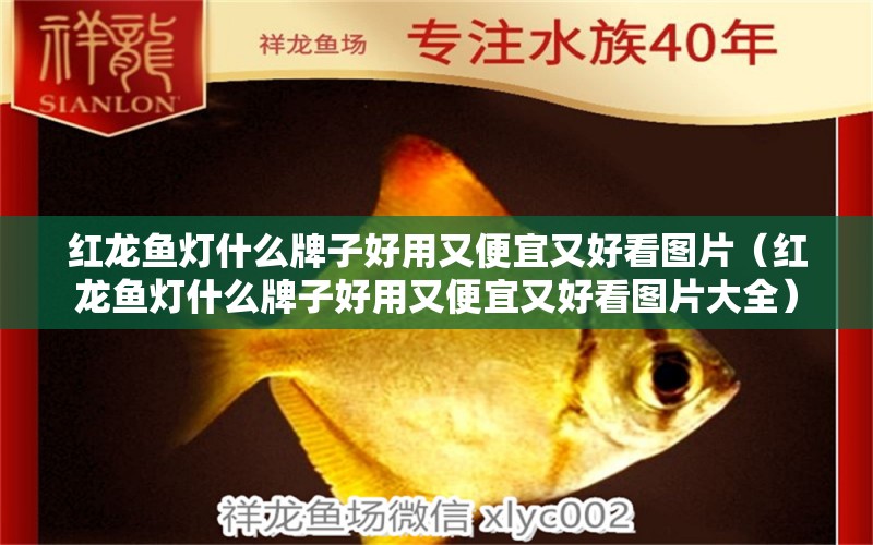 紅龍魚燈什么牌子好用又便宜又好看圖片（紅龍魚燈什么牌子好用又便宜又好看圖片大全）