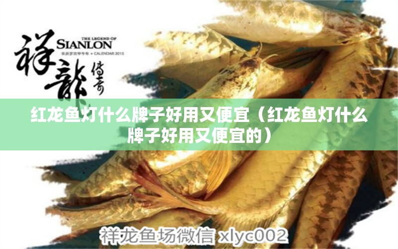 紅龍魚燈什么牌子好用又便宜（紅龍魚燈什么牌子好用又便宜的）