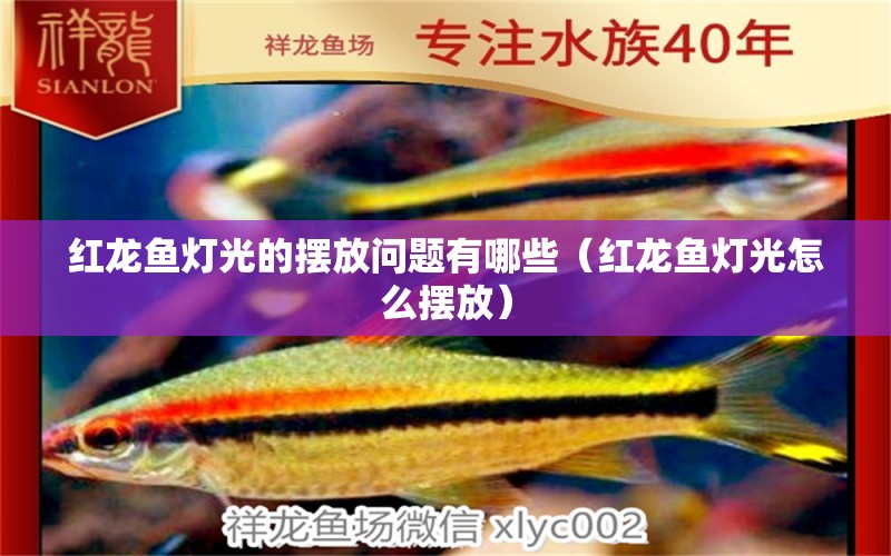 紅龍魚燈光的擺放問題有哪些（紅龍魚燈光怎么擺放） 印尼紅龍魚