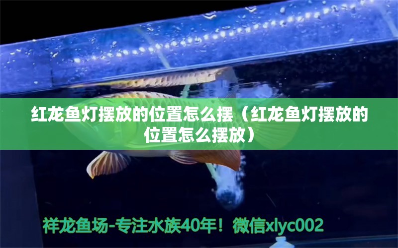 紅龍魚燈擺放的位置怎么擺（紅龍魚燈擺放的位置怎么擺放）