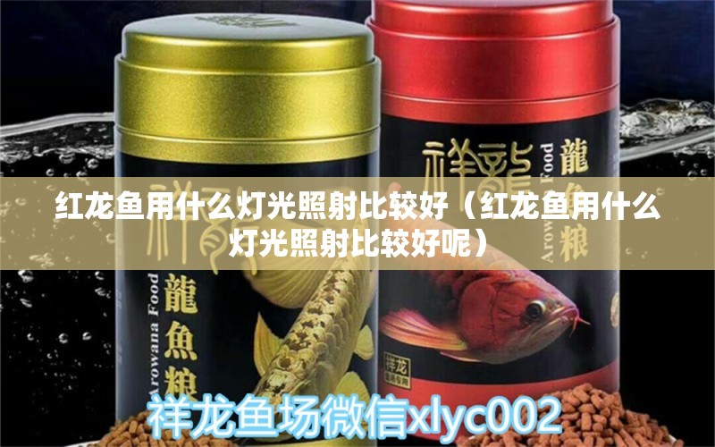 紅龍魚用什么燈光照射比較好（紅龍魚用什么燈光照射比較好呢）