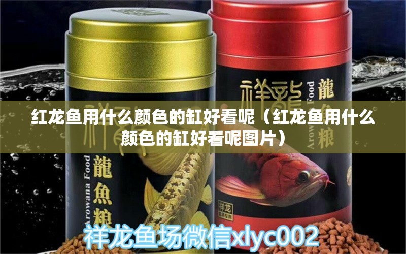 紅龍魚用什么顏色的缸好看呢（紅龍魚用什么顏色的缸好看呢圖片） 印尼紅龍魚