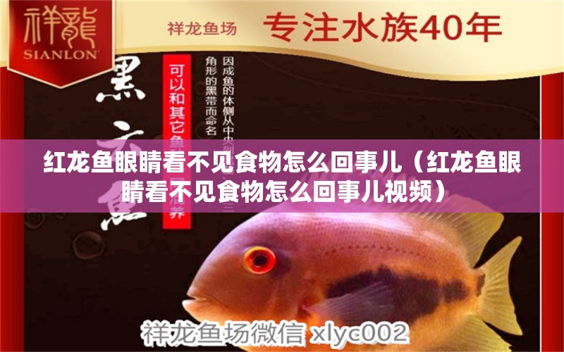 紅龍魚眼睛看不見食物怎么回事兒（紅龍魚眼睛看不見食物怎么回事兒視頻） 印尼紅龍魚