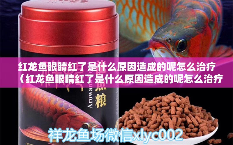 紅龍魚(yú)眼睛紅了是什么原因造成的呢怎么治療（紅龍魚(yú)眼睛紅了是什么原因造成的呢怎么治療）