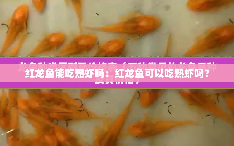 紅龍魚能吃熟蝦嗎：紅龍魚可以吃熟蝦嗎？ 水族問答 第1張