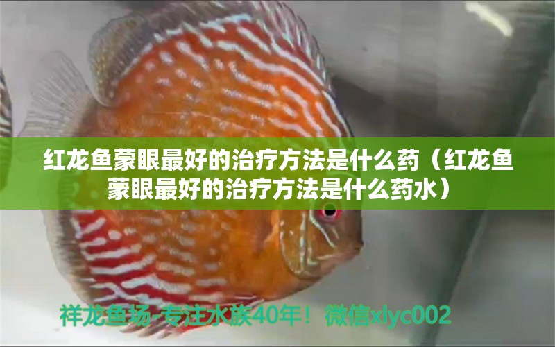 紅龍魚蒙眼最好的治療方法是什么藥（紅龍魚蒙眼最好的治療方法是什么藥水） 龍魚百科