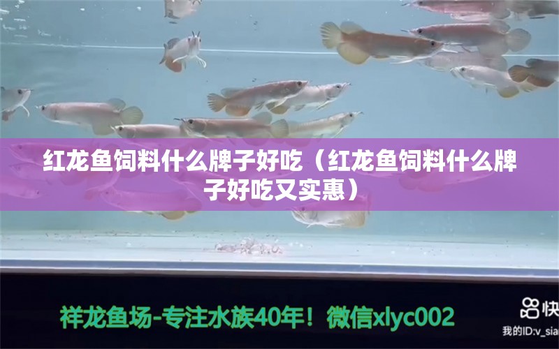 紅龍魚(yú)飼料什么牌子好吃（紅龍魚(yú)飼料什么牌子好吃又實(shí)惠）