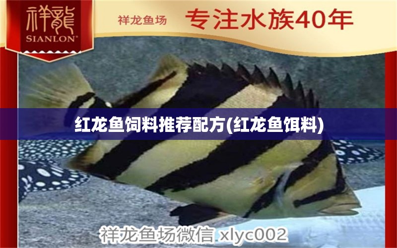 紅龍魚飼料推薦配方(紅龍魚餌料) 養(yǎng)魚知識