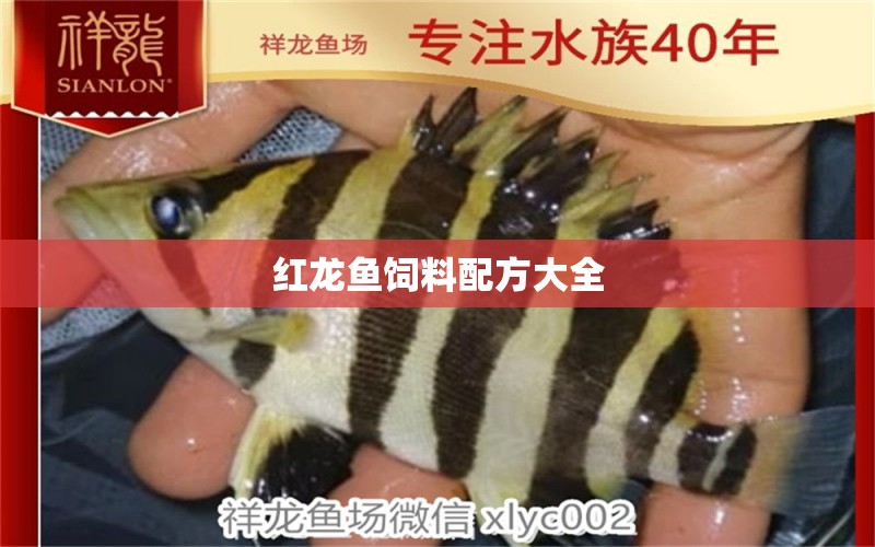 紅龍魚飼料配方大全 黃金招財(cái)貓魚