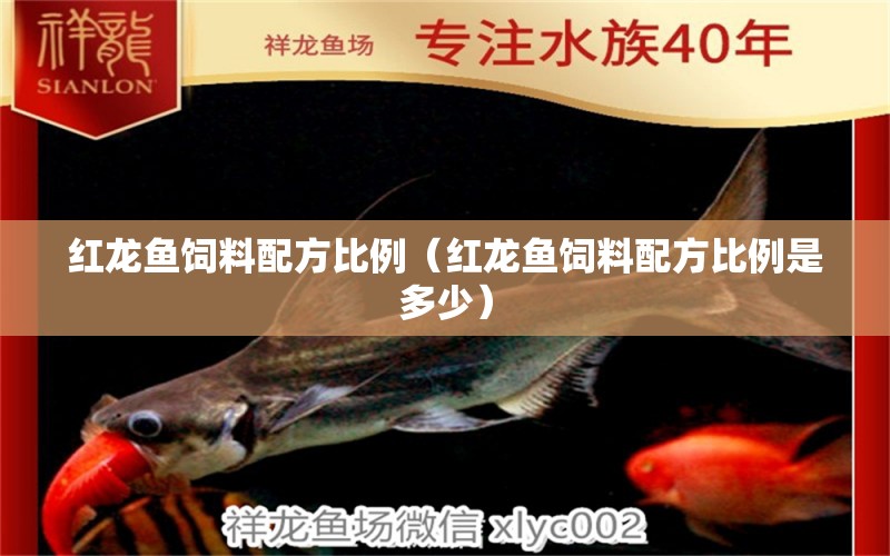 紅龍魚(yú)飼料配方比例（紅龍魚(yú)飼料配方比例是多少）