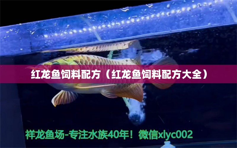 紅龍魚(yú)飼料配方（紅龍魚(yú)飼料配方大全）