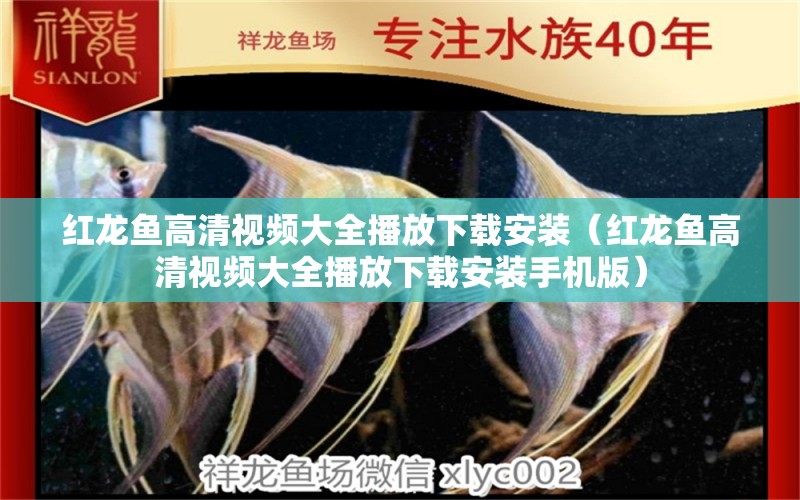 紅龍魚(yú)高清視頻大全播放下載安裝（紅龍魚(yú)高清視頻大全播放下載安裝手機(jī)版）