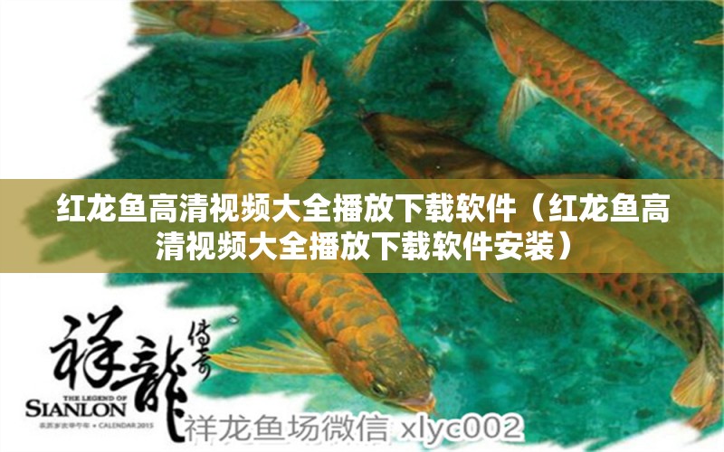 紅龍魚(yú)高清視頻大全播放下載軟件（紅龍魚(yú)高清視頻大全播放下載軟件安裝）