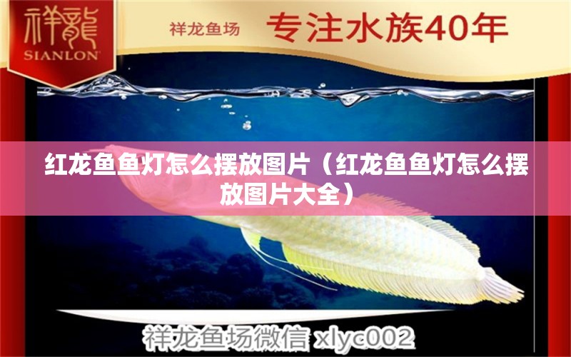 紅龍魚魚燈怎么擺放圖片（紅龍魚魚燈怎么擺放圖片大全） 印尼紅龍魚