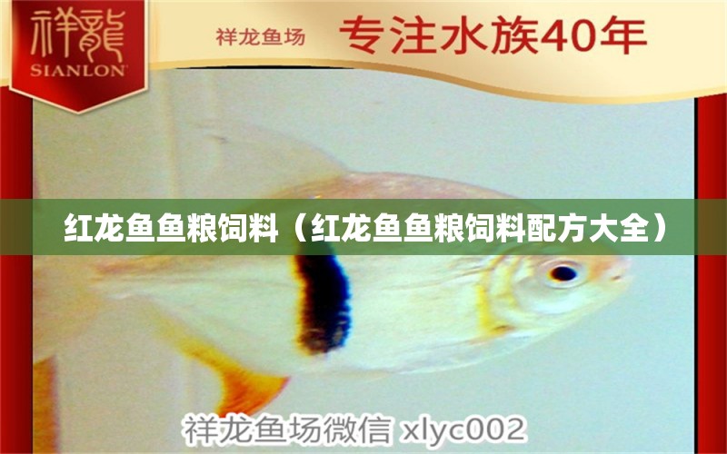 紅龍魚(yú)魚(yú)糧飼料（紅龍魚(yú)魚(yú)糧飼料配方大全）