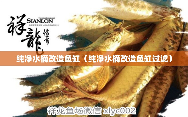 純凈水桶改造魚缸（純凈水桶改造魚缸過濾）