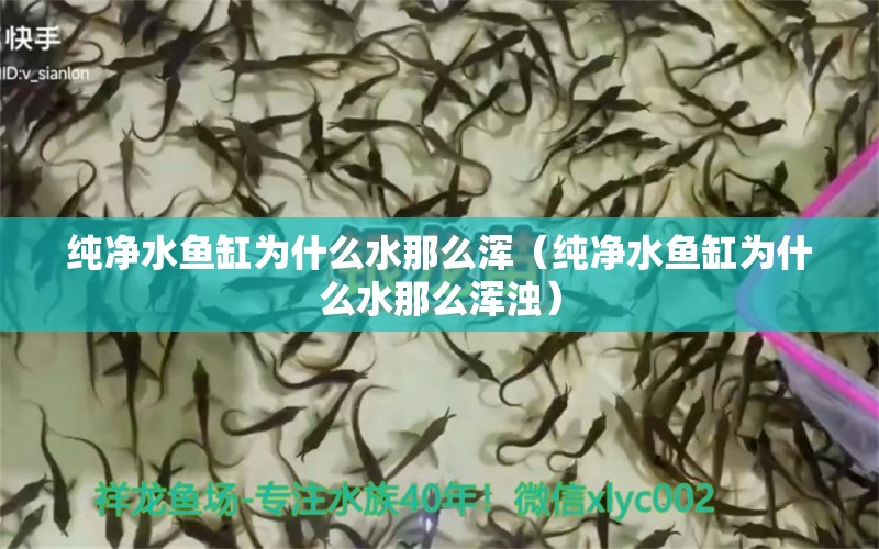 純凈水魚(yú)缸為什么水那么渾（純凈水魚(yú)缸為什么水那么渾濁） 祥龍水族醫(yī)院