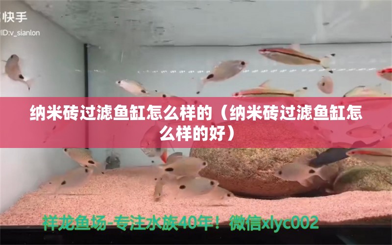 納米磚過(guò)濾魚(yú)缸怎么樣的（納米磚過(guò)濾魚(yú)缸怎么樣的好）