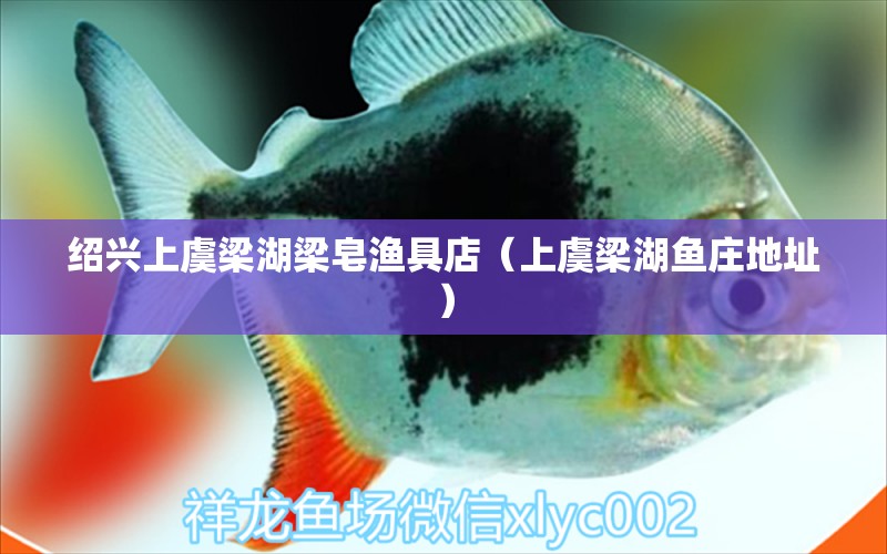 紹興上虞梁湖梁皂漁具店（上虞梁湖魚(yú)莊地址）