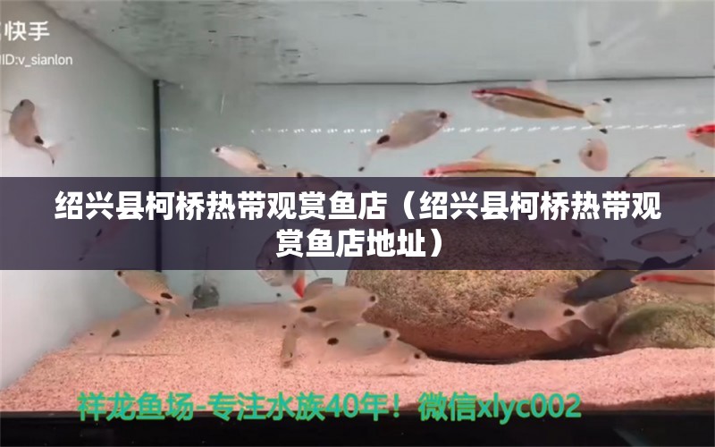 紹興縣柯橋熱帶觀賞魚店（紹興縣柯橋熱帶觀賞魚店地址） 全國水族館企業(yè)名錄