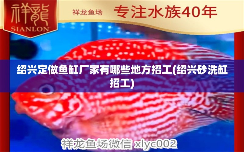 紹興定做魚(yú)缸廠家有哪些地方招工(紹興砂洗缸招工) 黃金鴨嘴魚(yú)