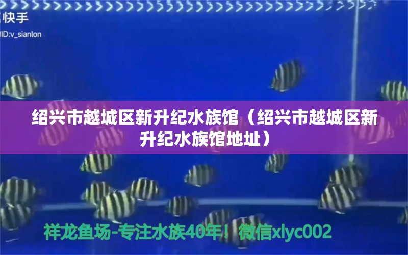 紹興市越城區(qū)新升紀(jì)水族館（紹興市越城區(qū)新升紀(jì)水族館地址）