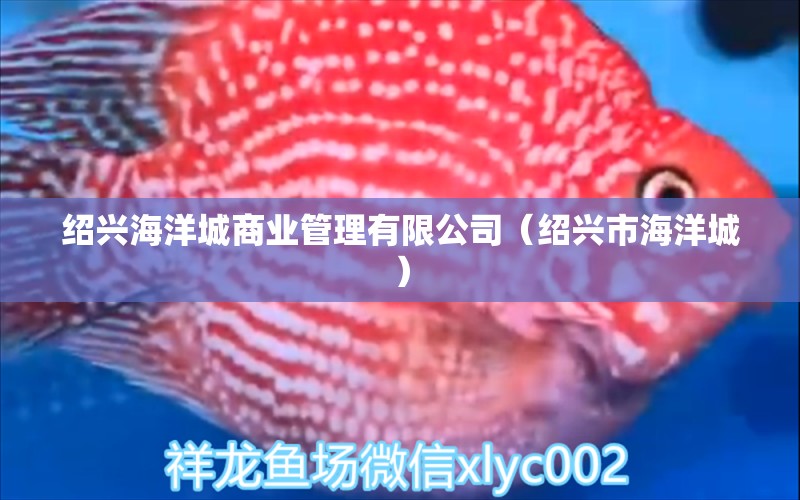 紹興海洋城商業(yè)管理有限公司（紹興市海洋城）