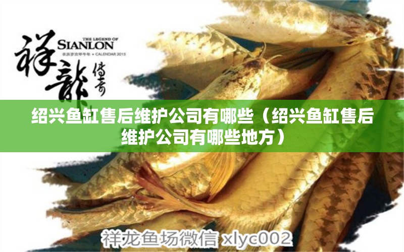 紹興魚缸售后維護公司有哪些（紹興魚缸售后維護公司有哪些地方）