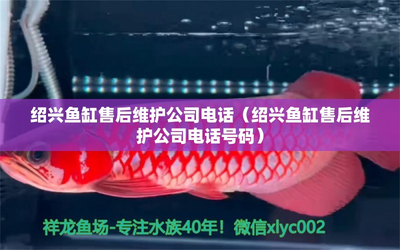 紹興魚缸售后維護公司電話（紹興魚缸售后維護公司電話號碼）