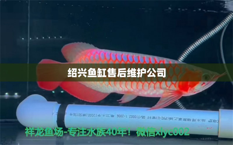 紹興魚缸售后維護公司