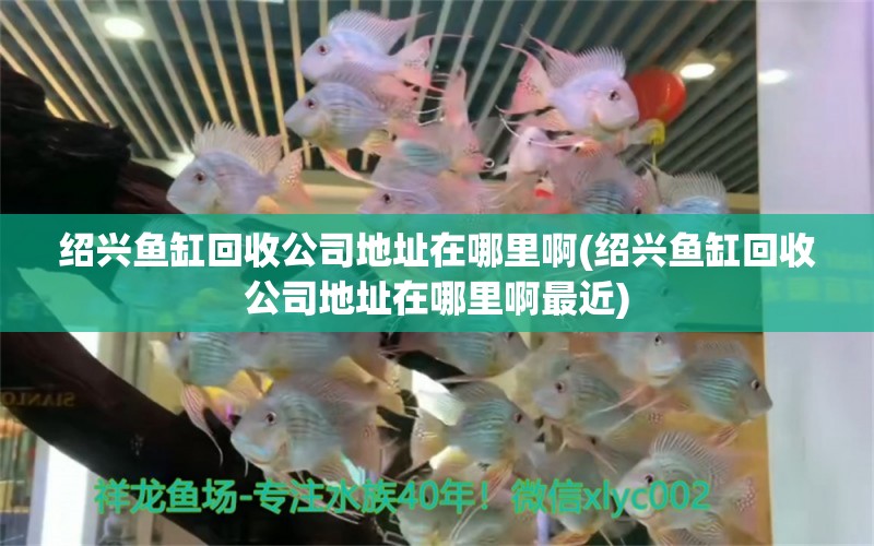 紹興魚缸回收公司地址在哪里啊(紹興魚缸回收公司地址在哪里啊最近)