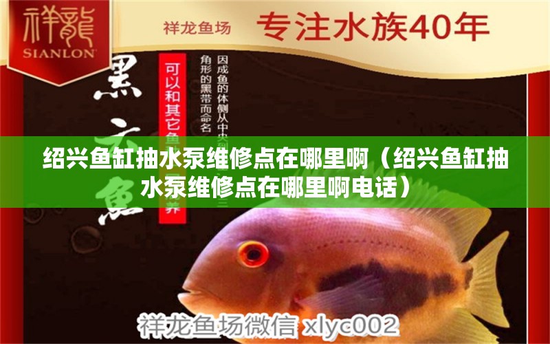 紹興魚缸抽水泵維修點(diǎn)在哪里?。ńB興魚缸抽水泵維修點(diǎn)在哪里啊電話）