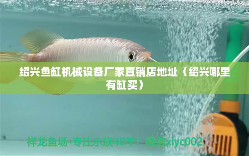 紹興魚缸機械設備廠家直銷店地址（紹興哪里有缸買）