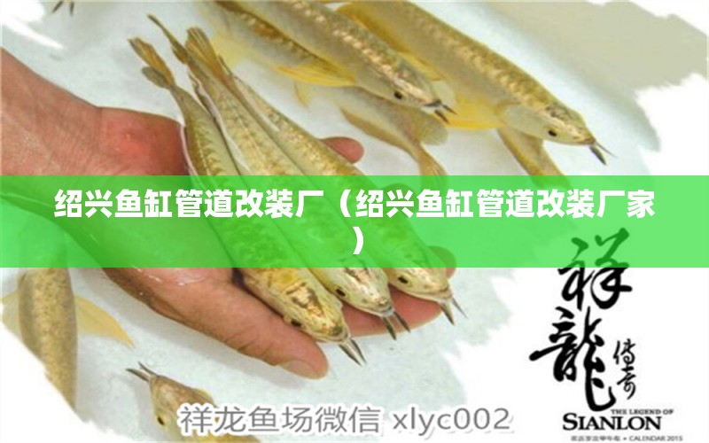 紹興魚缸管道改裝廠（紹興魚缸管道改裝廠家）