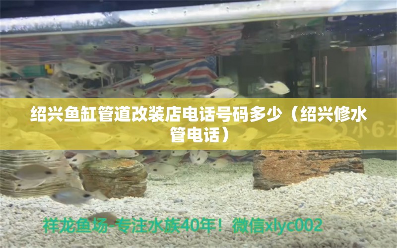 紹興魚缸管道改裝店電話號(hào)碼多少（紹興修水管電話）