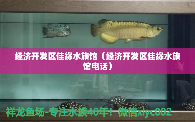 經(jīng)濟(jì)開發(fā)區(qū)佳緣水族館（經(jīng)濟(jì)開發(fā)區(qū)佳緣水族館電話）