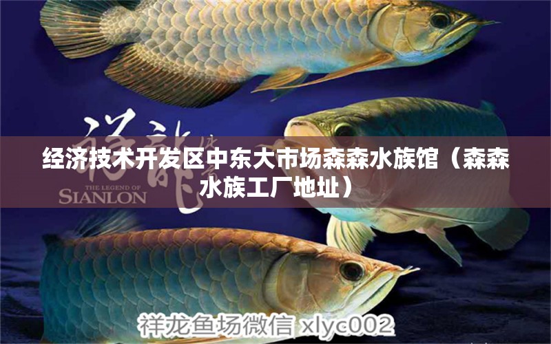 經(jīng)濟技術(shù)開發(fā)區(qū)中東大市場森森水族館（森森水族工廠地址）