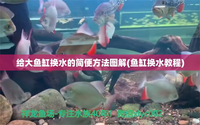 給大魚缸換水的簡便方法圖解(魚缸換水教程)