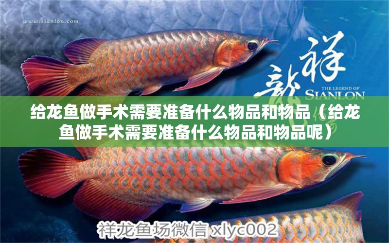 給龍魚做手術(shù)需要準(zhǔn)備什么物品和物品（給龍魚做手術(shù)需要準(zhǔn)備什么物品和物品呢）