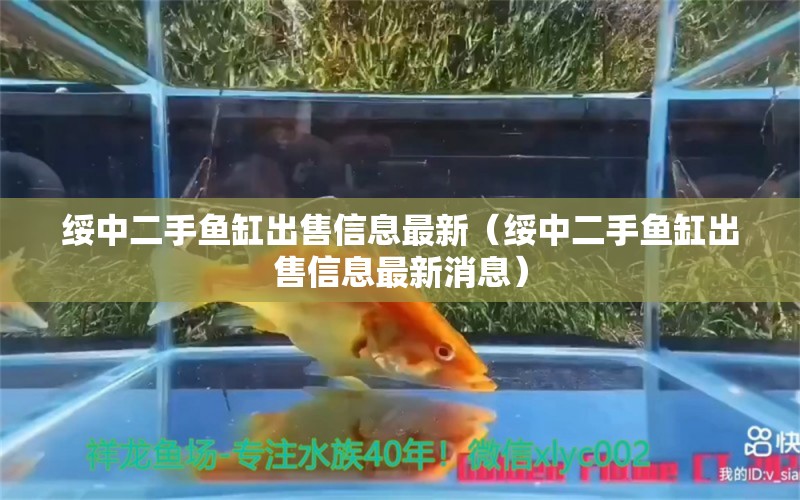 綏中二手魚缸出售信息最新（綏中二手魚缸出售信息最新消息） 量子養(yǎng)魚技術(shù)