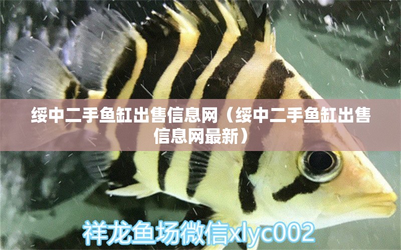 綏中二手魚(yú)缸出售信息網(wǎng)（綏中二手魚(yú)缸出售信息網(wǎng)最新）