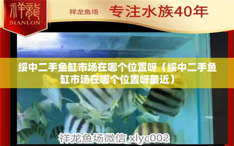 綏中二手魚缸市場在哪個位置呀（綏中二手魚缸市場在哪個位置呀最近） 祥龍水族醫(yī)院