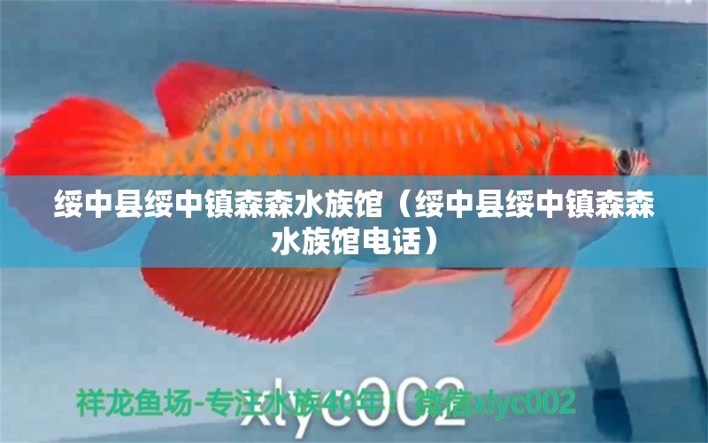 綏中縣綏中鎮(zhèn)森森水族館（綏中縣綏中鎮(zhèn)森森水族館電話）