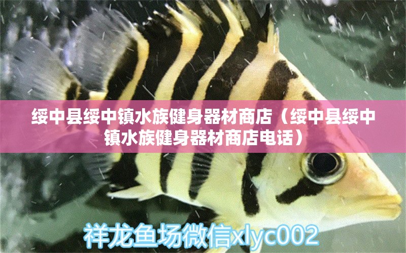 綏中縣綏中鎮(zhèn)水族健身器材商店（綏中縣綏中鎮(zhèn)水族健身器材商店電話）