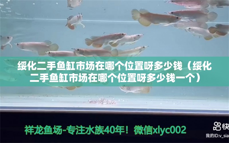 綏化二手魚缸市場(chǎng)在哪個(gè)位置呀多少錢（綏化二手魚缸市場(chǎng)在哪個(gè)位置呀多少錢一個(gè)）