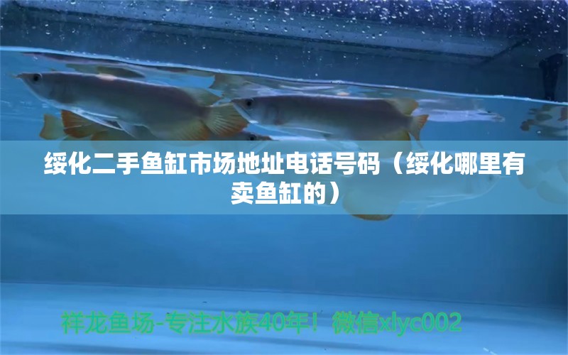 綏化二手魚缸市場(chǎng)地址電話號(hào)碼（綏化哪里有賣魚缸的） 招財(cái)戰(zhàn)船魚