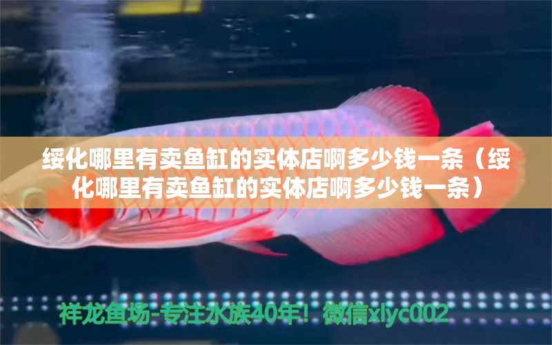 綏化哪里有賣魚缸的實(shí)體店啊多少錢一條（綏化哪里有賣魚缸的實(shí)體店啊多少錢一條）